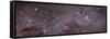 Mosaic of the Carina Nebula and Crux Area in the Southern Sky-null-Framed Stretched Canvas