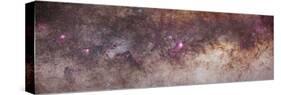 Mosaic of the Constellations Scorpius and Sagittarius in the Southern Milky Way-null-Stretched Canvas