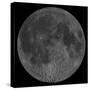Mosaic of the Lunar Nearside-Stocktrek Images-Stretched Canvas