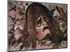 Mosaic of Tragic Mask from House of the Faun in Pompeii-Gustavo Tomsich-Mounted Giclee Print