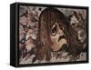 Mosaic of Tragic Mask from House of the Faun in Pompeii-Gustavo Tomsich-Framed Stretched Canvas