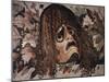 Mosaic of Tragic Mask from House of the Faun in Pompeii-Gustavo Tomsich-Mounted Giclee Print