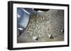 Mosaic of Vault of Ambulatory, Mausoleum of St Constance, Rome, Italy-null-Framed Giclee Print