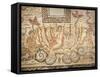 Mosaic of Venus Bathing, from House of Donkey, Cuicul, Algeria-null-Framed Stretched Canvas