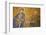 Mosaic of Virgin Mary and Infant Jesus Christ Found in the Hagia Sophia Museum-Simon Montgomery-Framed Photographic Print