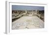 Mosaic, Ruins of the Roman Town of Stobi, Gradsko, Macedonia-Vivienne Sharp-Framed Photographic Print