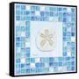 Mosaic Sanddollar-Paul Brent-Framed Stretched Canvas