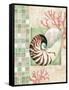 Mosaic Shell Collage I-Paul Brent-Framed Stretched Canvas