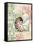 Mosaic Shell Collage I-Paul Brent-Framed Stretched Canvas