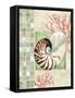 Mosaic Shell Collage I-Paul Brent-Framed Stretched Canvas