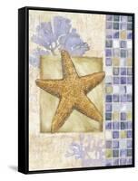 Mosaic Shell Collage II-Paul Brent-Framed Stretched Canvas