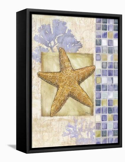 Mosaic Shell Collage II-Paul Brent-Framed Stretched Canvas