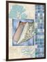 Mosaic Shell Collage III-Paul Brent-Framed Art Print