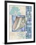 Mosaic Shell Collage III-Paul Brent-Framed Art Print