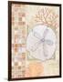 Mosaic Shell Collage IV-Paul Brent-Framed Art Print