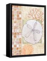 Mosaic Shell Collage IV-Paul Brent-Framed Stretched Canvas