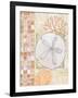 Mosaic Shell Collage IV-Paul Brent-Framed Art Print