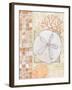 Mosaic Shell Collage IV-Paul Brent-Framed Art Print