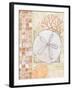 Mosaic Shell Collage IV-Paul Brent-Framed Art Print