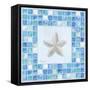 Mosaic Starfish-Paul Brent-Framed Stretched Canvas