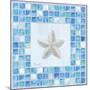 Mosaic Starfish-Paul Brent-Mounted Art Print