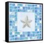 Mosaic Starfish-Paul Brent-Framed Stretched Canvas