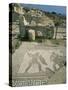 Mosaic, the House of Gladiators, Kourion, Cyprus, Europe-Jeremy Bright-Stretched Canvas