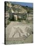 Mosaic, the House of Gladiators, Kourion, Cyprus, Europe-Jeremy Bright-Stretched Canvas