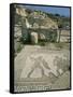 Mosaic, the House of Gladiators, Kourion, Cyprus, Europe-Jeremy Bright-Framed Stretched Canvas