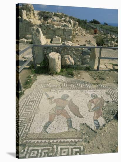 Mosaic, the House of Gladiators, Kourion, Cyprus, Europe-Jeremy Bright-Stretched Canvas