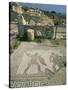 Mosaic, the House of Gladiators, Kourion, Cyprus, Europe-Jeremy Bright-Stretched Canvas