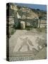 Mosaic, the House of Gladiators, Kourion, Cyprus, Europe-Jeremy Bright-Stretched Canvas