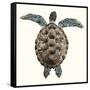 Mosaic Turtle I-Grace Popp-Framed Stretched Canvas