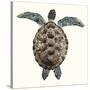 Mosaic Turtle I-Grace Popp-Stretched Canvas