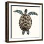 Mosaic Turtle I-Grace Popp-Framed Art Print