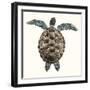 Mosaic Turtle I-Grace Popp-Framed Art Print