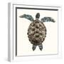 Mosaic Turtle I-Grace Popp-Framed Art Print