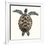 Mosaic Turtle I-Grace Popp-Framed Art Print