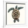 Mosaic Turtle II-Grace Popp-Framed Art Print