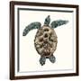 Mosaic Turtle II-Grace Popp-Framed Art Print