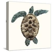 Mosaic Turtle II-Grace Popp-Stretched Canvas