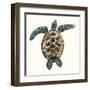 Mosaic Turtle II-Grace Popp-Framed Art Print