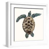 Mosaic Turtle II-Grace Popp-Framed Art Print