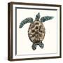 Mosaic Turtle II-Grace Popp-Framed Art Print