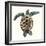 Mosaic Turtle II-Grace Popp-Framed Art Print