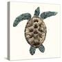 Mosaic Turtle II-Grace Popp-Stretched Canvas