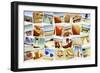 Mosaic with Pictures of Different Summer Scenes, Shot by Myself-nito-Framed Photographic Print