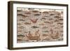 Mosaic Work Depicting a Fishing Scene in Waters Abounding in Fish-null-Framed Giclee Print
