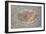 Mosaics at Kato Paphos Archaeological Park, UNESCO World Heritage Site, Paphos, Cyprus-Neil Farrin-Framed Photographic Print