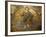 Mosaics Depicting the Final Judgement, Baptistery, Duomo Florence, Tuscany, Italy, Europe-Godong-Framed Photographic Print